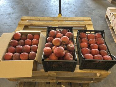 Яблоки: Яблоки — 4