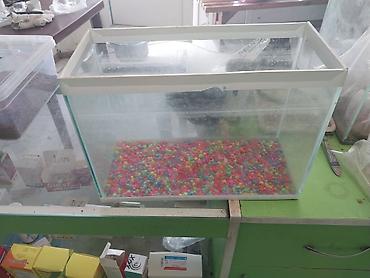 ev dovşanları: Dördbucaq akvarium, Boş, 6 l, Ödənişli çatdırılma — 3