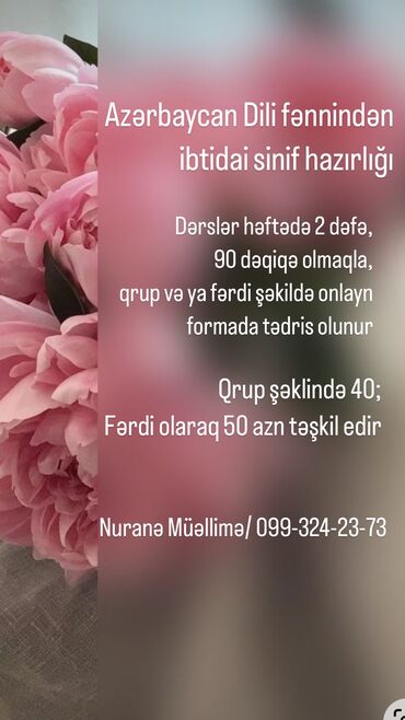 mingəçevir iş: İbtidai sinif hazırlığı (onlayn)