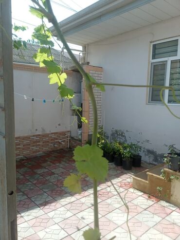 ev dibcekleri: 3 otaqlı, 90 kv. m, Orta təmir
