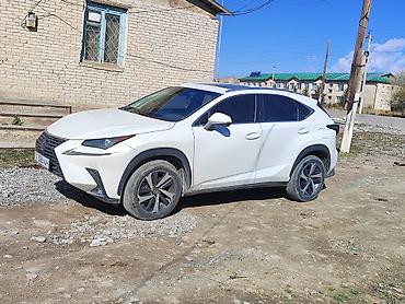 a klass: Lexus NX: 2019 г., 2 л, Автомат, Бензин, Кроссовер — 3