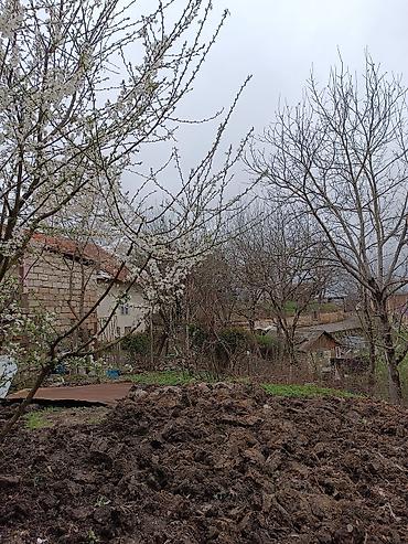 4 otaqlı ev certyojları: 4 otaqlı, 75 kv. m, Kredit yoxdur, Orta təmir — 6