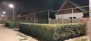 Продажа коттеджей и домов: 🏡 **Продается уютный дом в Бишкеке!** 📍 Район: Ак-Ордо 1 ж/м 🏠 Дом: 2 — 1