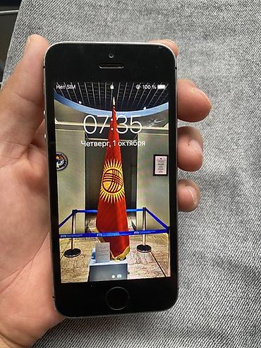 IPhone SE (1‑го поколения), 4" Space Gray - Компактный корпус в