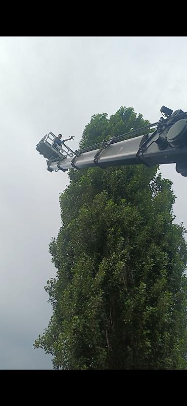 952 2: Стрела 28 м, 300 т — 2