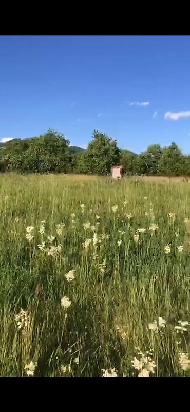 qalada torpaq: 52 sot, Kənd təsərrüfatı, Mülkiyyətçi, Kupça (Çıxarış) — 9