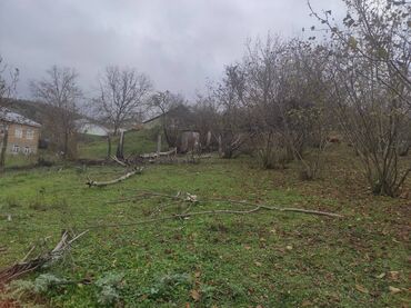 Torpaq sahələrinin satışı: 10 sot, Tikinti, Mülkiyyətçi, Kupça (Çıxarış) — 7