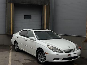 Lexus: Lexus ES: 2003 г., 3 л, Бензин — 2