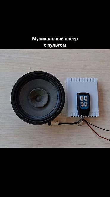 2 t: Аудиоплеер с пультом — 1