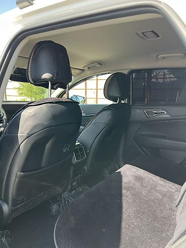 корейский опалобки: Kia Sportage: 2022 г., Автомат, Дизель — 8