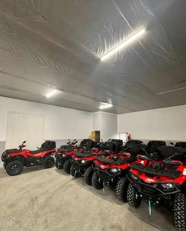 спортивный квадроцикл: Квадроцикл CFMoto, Бензин, 450 куб. см, Чоңдор үчүн, Бөлүп төлөө менен