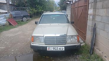 портерге шина: Mercedes-Benz W124: 1992 г., 2.3 л, Автомат, Бензин, Универсал — 1