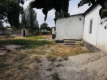 Продажа коттеджей и домов: 2 комнаты, 46 м², 1500 соток, Сокулук, Собственник — 20
