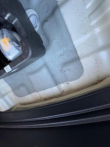 Kia: Kia Seltos: 2020 г., 1.6 л, Робот, Дизель, Кроссовер — 3