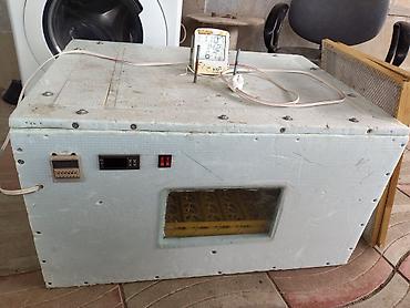 İnkubatorlar: 100 yumurta, Azərbaycan, Tam avtomat, Bütün növ quşlaq üçün — 10