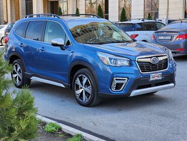 колпачки субару: Subaru Forester: 2019 г., 2.5 л, Вариатор, Бензин, Универсал