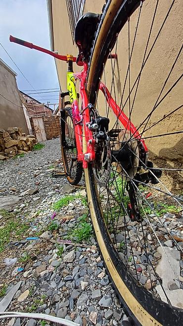 Dağ velosipedləri: ZIGZAG dağ velosipedi - Çərçivə: yüngül alaşımlı hardtail, parlaq — 7