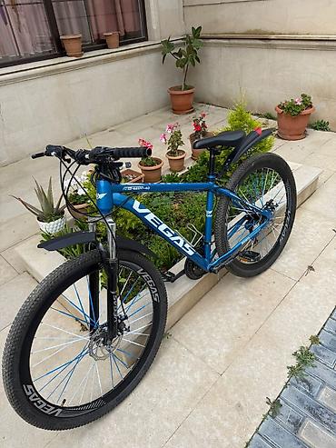 İdman velosipedləri: VEGAS dağ velosipedi - Çərçivə: yüngül və möhkəm alüminium çərçivə — 1