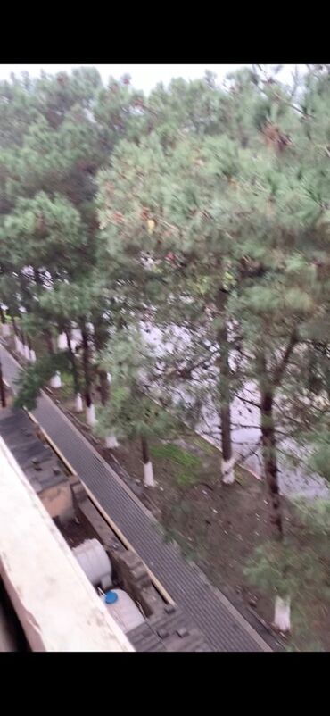 Uzunmüddətli kirayə mənzillər: Salam aleykum Neftçala şəhırində mərkəzdə parkın yanındakı 5-mərtəbəli -da lalafo.az — 6 Uzunmüddətli kirayə mənzillər: Salam aleykum Neftçala şəhırində mərkəzdə parkın yanındakı 5-mərtəbəli — 6