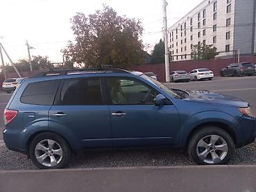 Subaru Forester: 2008 г., 2.5 л, Автомат, Газ, Кроссовер