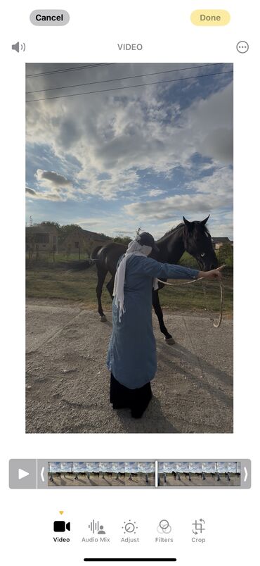 Domaće životinje: Na prodaju: crni konj, atletske građe i pravilnih nogu. - Tip — 8