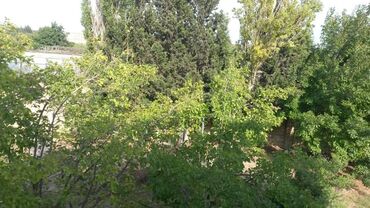 Həyət evləri və villaların satışı: 5 otaqlı, 255 kv. m, Yeni təmirli — 7