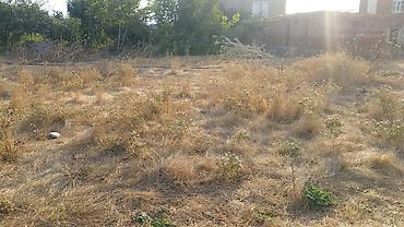 ev alqi satqisi kirayesi: 1 otaqlı, 24 kv. m, Kredit yoxdur, Təmirsiz — 3