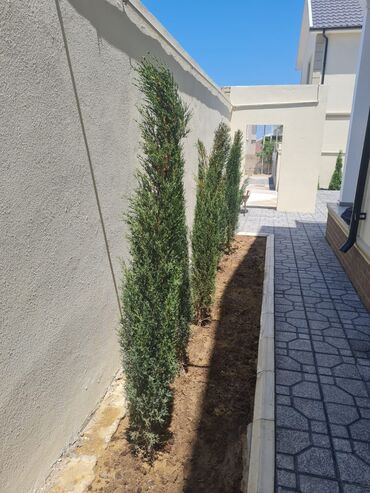 Həyət evləri və villaların satışı: 8 otaq, 180 kv. m, Yeni təmirli — 36