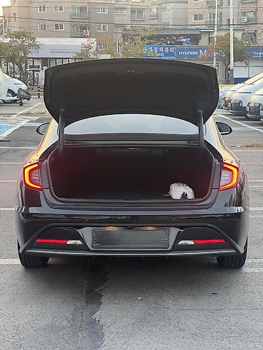 поворотки: Hyundai Sonata: 2021 г., 2 л, Автомат, Газ, Седан — 7