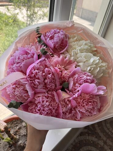 Цветы и букеты: Продаю свежий букет цветов 💐
Покупали за 3500
Отдам 1500 at lalafo.kg Цветы и букеты: Продаю свежий букет цветов 💐
Покупали за 3500
Отдам 1500