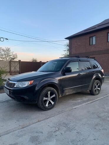 Subaru: Subaru Forester: 2009 г., 2.5 л, Механика, Бензин, Внедорожник — 5