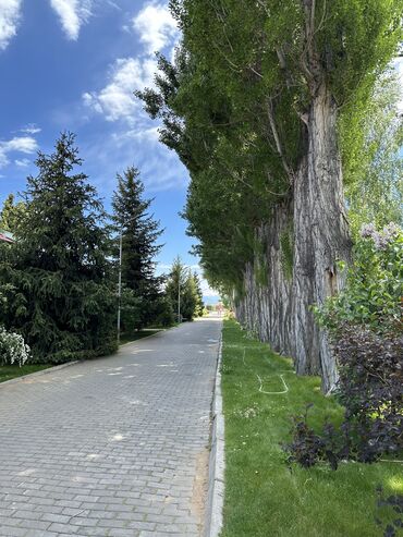 Иссык-Куль 2025: Квартира, Радуга Альфа Иссык-куль ЦО Радуга, Сары-Ой, Парковка, стоянка, Тренажерный зал, SPA — 13