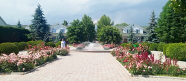 Иссык-Куль 2025: Коттедж, Каприз ЦО Каприз, Чолпон-Ата, Охраняемая территория at lalafo.kg — 5 Иссык-Куль 2025: Коттедж, Каприз ЦО Каприз, Чолпон-Ата, Охраняемая территория — 5