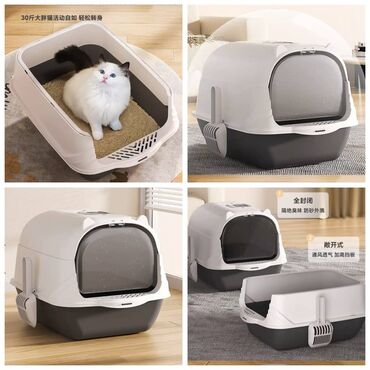 Зоотовары: ПРОДАЮ КОШАЧЬЮ МЯТУ(АНТИСТРЕСС),ПОРАДУЙТЕ СВОГО КОТИКА ТАКОЙ at lalafo.kg — 24 Зоотовары: ПРОДАЮ КОШАЧЬЮ МЯТУ(АНТИСТРЕСС),ПОРАДУЙТЕ СВОГО КОТИКА ТАКОЙ — 24