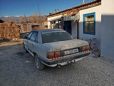 эшик б у: Audi 100: 1990 г., 1.8 л, Кол менен иштөөчү, Бензин, Седан — 6