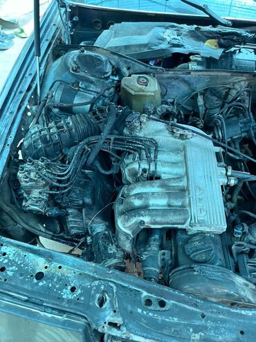 Audi: Audi 100: 1990 г., 2 л, Механика, Бензин, Седан — 3