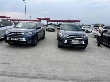 воздушный матрос: Toyota Highlander: 2019 г., 3.5 л, Автоматтык, Бензин, Жол тандабас
