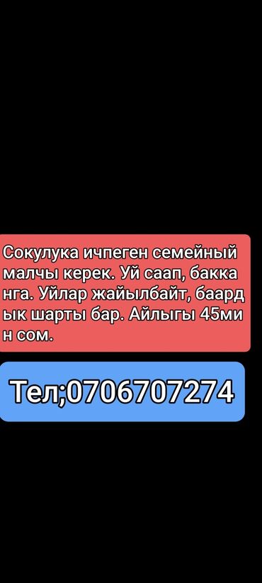 пицца печь б у: Талап кылынат Малчы, Төлөм Күн сайын