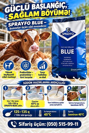 mal bazarı: SPRAFYO BLUE – buzovlar üçün süd əvəzedicisi Məhsul xüsusiyyətləri: - — 1
