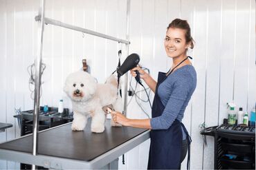 купить бу пластиковые окна: 📢 Grooming (Heyvan Baxımı) Mərkəzinə Təcrübəli Ustalar Axtarılır! Yeni