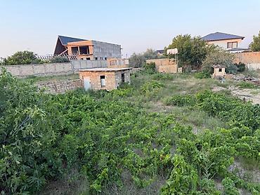 donər obyekti: 2 sot, Tikinti, Mülkiyyətçi, Kupça (Çıxarış) — 4
