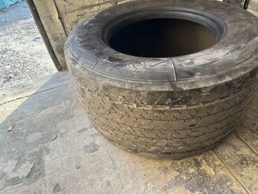 покрышка на автокран: 445.45.19.5