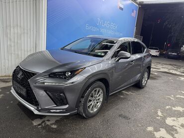 runx alex: Lexus NX: 2020 г., 2 л, Автомат, Бензин, Седан