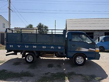 водный катер: Легкий грузовик, Hyundai, Стандарт, 3 т, Б/у — 6