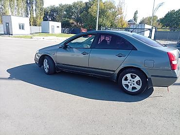 nd фильтр бишкек: Nissan Primera: 2004 г., 1.8 л, Механика — 4