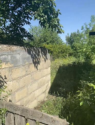 Torpaq sahələrinin satışı: 20 sot, Tikinti, Mülkiyyətçi, Kupça (Çıxarış) — 11