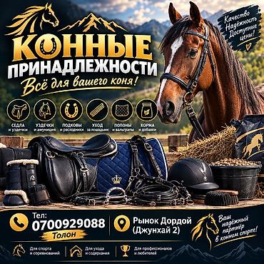 Конные принадлежности – всё для вашего коня! Ассортимент: - Седла и