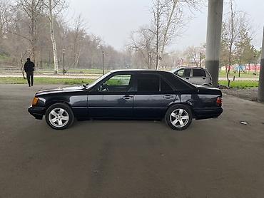 Mercedes-Benz: Mercedes-Benz E-Class: 1995 г., 2 л, Автомат, Бензин, Седан — 12
