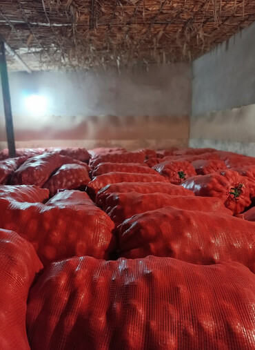 Картошка: Картошка Пикассо — 1