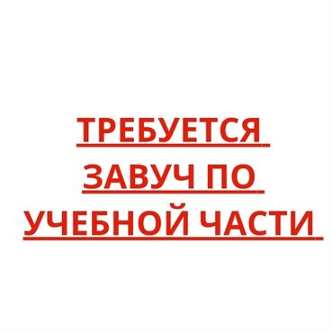 белый клевер купить в бишкеке: В новый колледж IT в Джалал-Абаде требуется завуч по учебной части